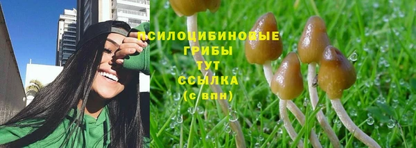 соль курить ск Белокуриха