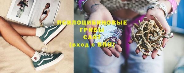 соль курить ск Белокуриха